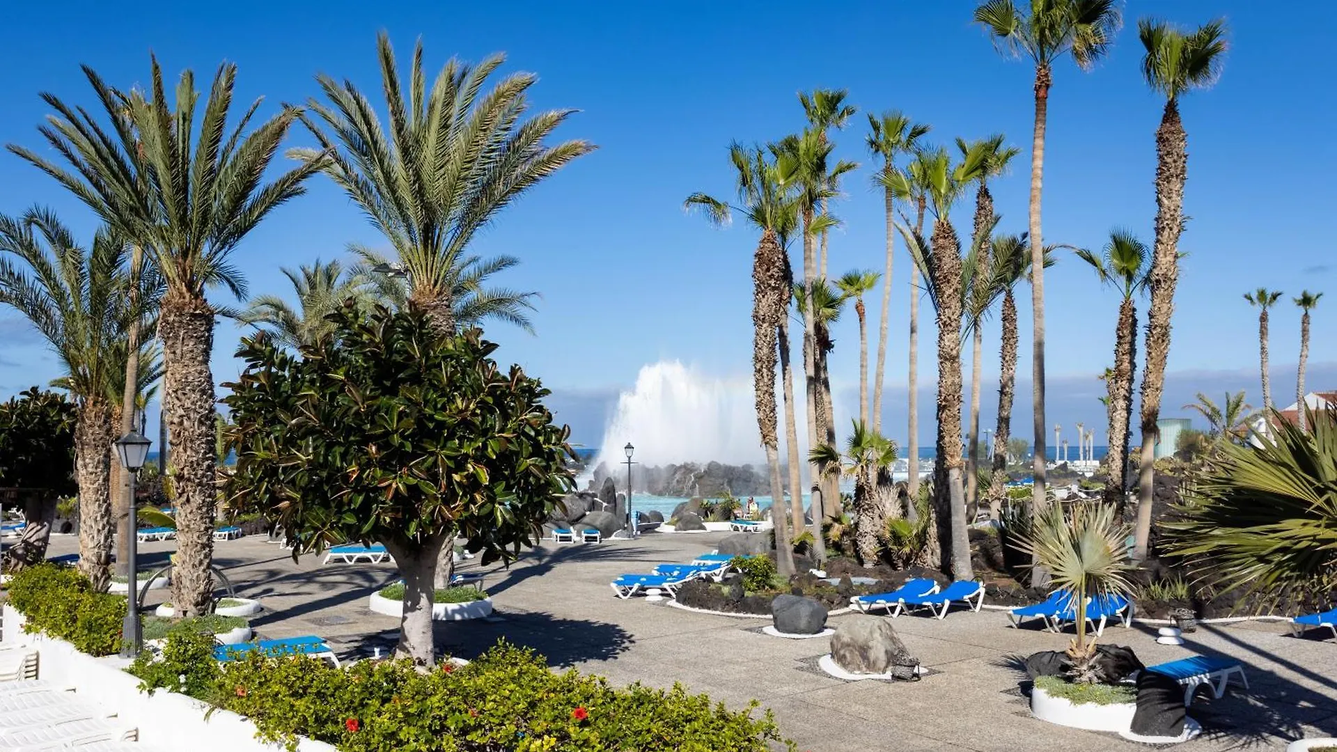 Casa Gerhard - Adults Only - Daire Puerto de la Cruz